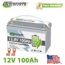 12V 100Ah LiFePO4 Lithium Battery Built-in 100A BMS for Solar Marine Trolling