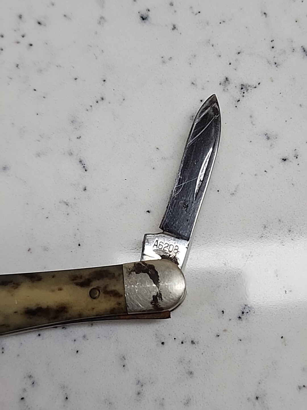 Vintage Case XX A6208 Half Whittler Appaloosa Bone Pocket Knife eBay
