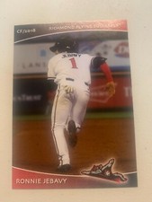 Ronnie Jebavy Card 2018 Richmond Flying Squirrels Team Card