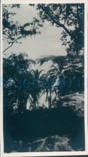 1953 Photo Southern Rhodesia Victoria falls Through trees 4.4x2.5