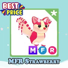 MFR Strawberry - Adopt right now