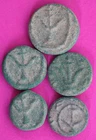 5 Nice Widows Mite Coins Jerusalem Patina Holy Land Artifact Small Leptons T1071