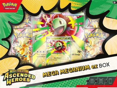 Pokemon Box Set - Mega Evolution: Ascended Heroes - Mega Meganium