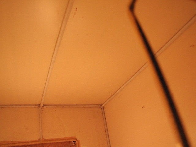 Picture 10 of 10