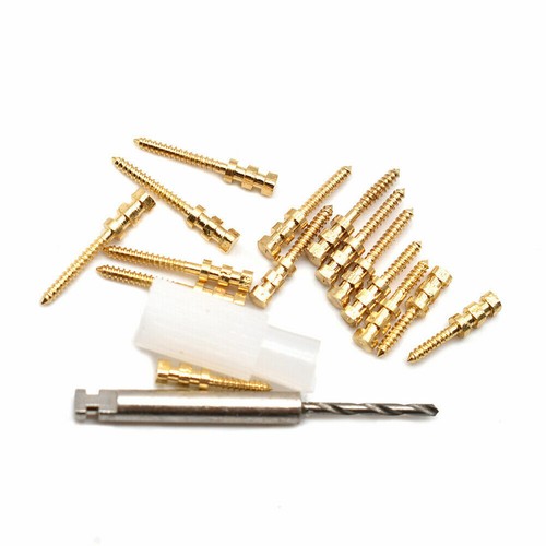 Dental Threrapy Stainless Steel Golden Plated Screw Post Pins 15Pc 24K BM 1.4 - 第 2/7 張圖片