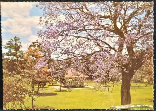 1973 Murray Views Postcard Captured Anzac Memorial Park, Gympie, QLD