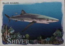 2021 Topps Allen & Ginter Deep Sea Shiver - Complete Your Set!