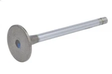 Intake Valve FP DIESEL 3052820-FP