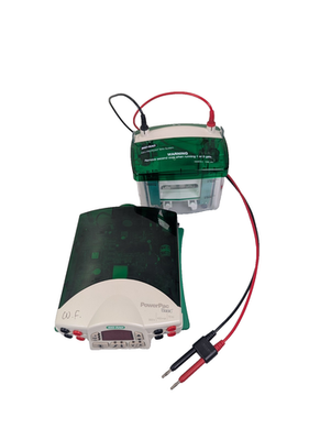 #ad BIO RAD PowerPac Basic Electrophoresis Power Supply Plus Mini Protean Tetra Cell $502.20