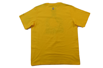 Nike Youth Boys Brasil Brazil Soccer CBF Bird Graphic Yellow Shirt