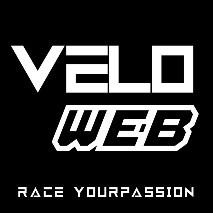 VEE RUBBER Copertone Fat Bike E-HUNTSMAN 20×4 20 x 4  Vee Tire - Immagine 2 di 3