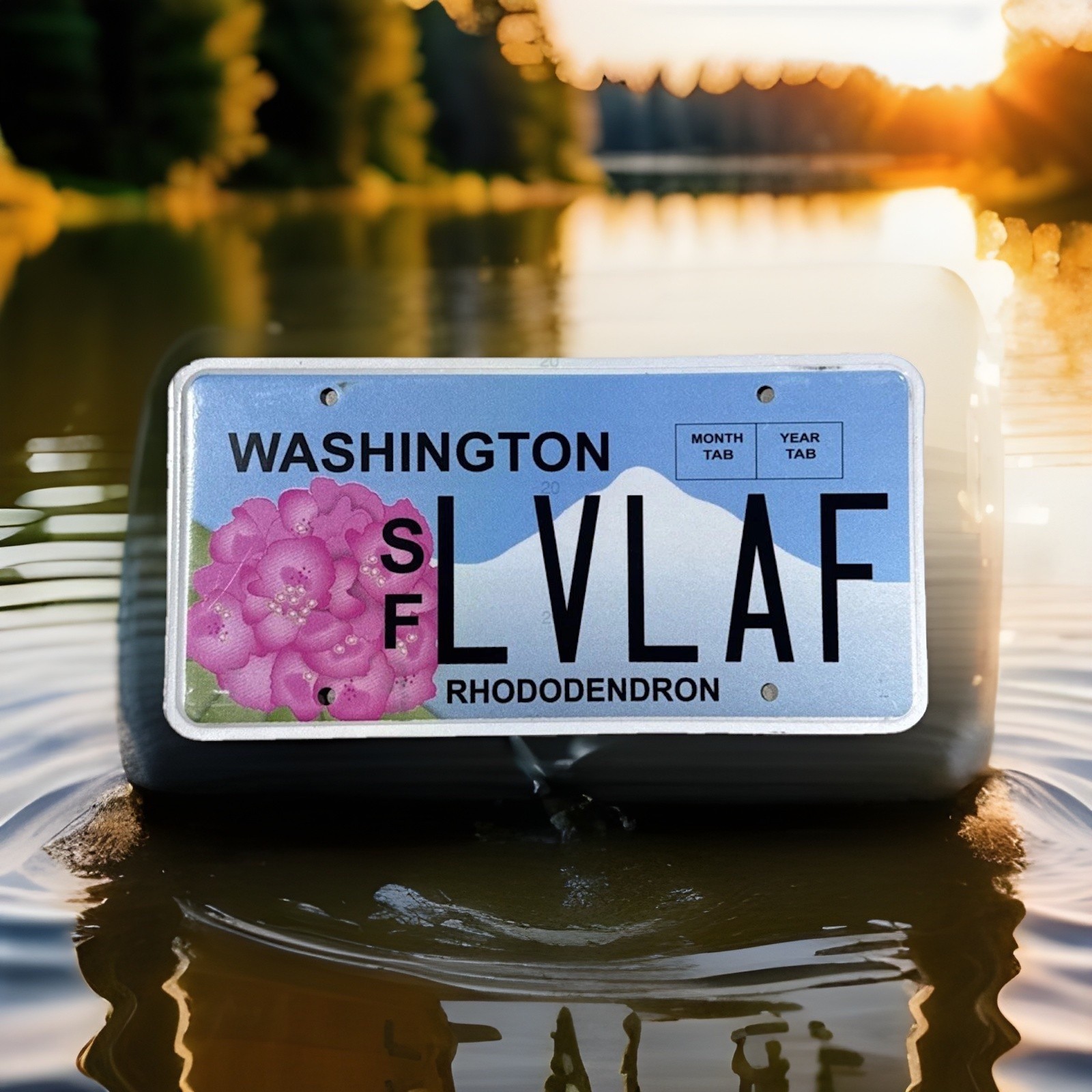 Expired Washington License Plate Rhododendron Flowers