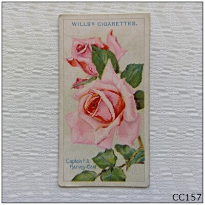 cigarette lighter aux adaptor Cigarette Lighter Adapters cigarette lighter aux adaptor Cigarette Lighter Adapters