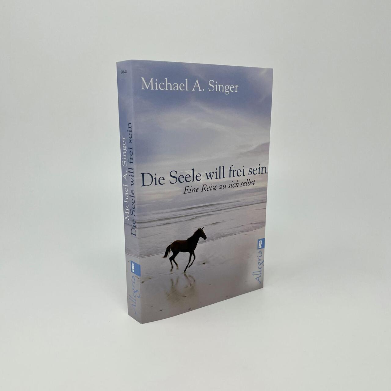 Thumbnail - Die Seele Will Frei Sein Michael A. Singer