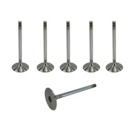 Einlassventil Set FüR Vw 2.3 V5 & 2.8/2.9 VR6 021109601H Abv Aaa Agz Amy