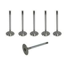 Intake Valve Set for VW 2.3 V5 & 2.8/2.9 VR6 021109601H ABV AAA AGZ AMY
