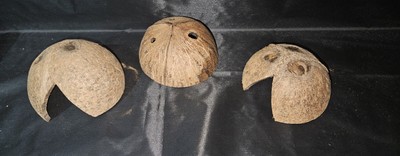 Aquarium Deko 3x Kokos Halbhöhle Aquarium Hamsterhaus Holz Garnelen