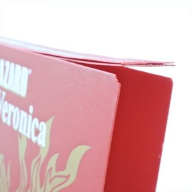 BIOHAZARD Resident Evil CODE VERONICA Box Dreamcast Sega d173 dc