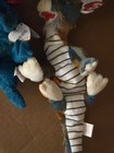 Bild 7 von 12