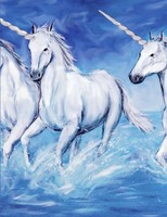 Rwg | Unicorn Notebook | Taschenbuch | Englisch (2019) | Kartoniert / Broschiert