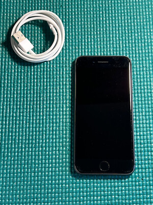 Apple iPhone 8 64GB Unlocked Smartphone - Space Gray A1863 (CDMA + GSM)