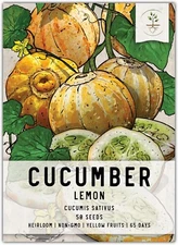 Lemon Cucumber Seeds - 50 Heirloom Seeds for Planting Cucumis sativus