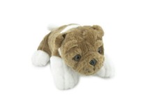 English Bulldog, Cute Plush Puppy, Realistic Stuffed Animal Toy 9" F1235 B261