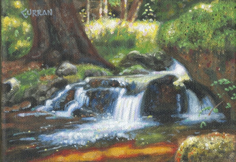 ORIGINAL OIL PAINTING, FOREST STREAM, LANDSCAPE, listed artist NR!