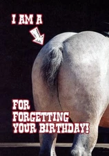 I'm A Horses A?? For Forgetting Your Birthday - 14873