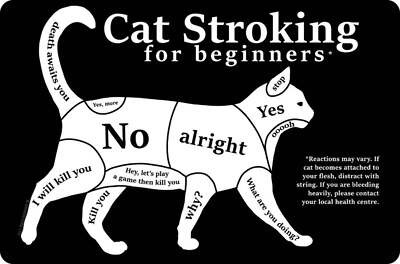 Katzenliebhaber - Katzenstreicheln für Anfänger kleines Blechschild