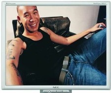 NEC MultiSync 90GX  19" LCD Vintage Gaming Monitor 4ms Fast Response 1280x1024