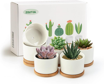 Succulent Pots 3.1 Inch,6 Pack Succulent Planters,Small Pots for  with Drainage