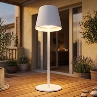Flaschenaufsatz Tischleuchte AußEnlampe Led Akku Usb Cct Weiß Opal Touchdimmer