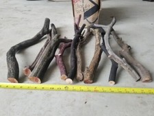 10 Manzanita Branches 20"-24"  Box 9 