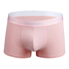 Moisture Wicking Comfortable Men's Underpants Plus Size Smooth Boxers Underwear