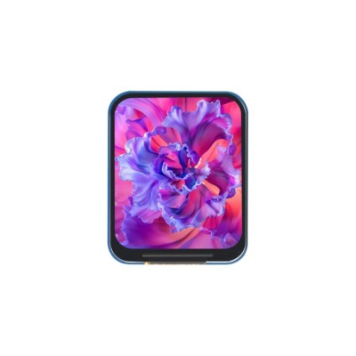 1.69inch LCD IPS Display Module 240×280 SPI with Examples for Raspberry Pi