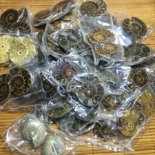 1kg  pairs of small Split Ammonite Specimen Shell Healing Madagascar 001