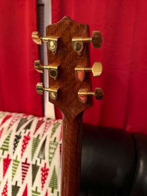 Takamine G Series EG340C Acoustic-Electric guitar with gator case