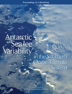 Antarctic Sea Ice Variability in the Southern Ocean-Climate System (Taschenbuch)