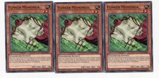 Yu-Gi-Oh! Flinker Momonga Common Playset (3 Stück) Set 72