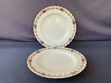 Copeland Spode HAZEL DELL S.930 Dinner Plates 10 1/2" Vintage - Set of 2