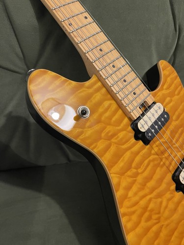 Peavey EVH Wolfgang Special - MIK - Imagen 9 de 12