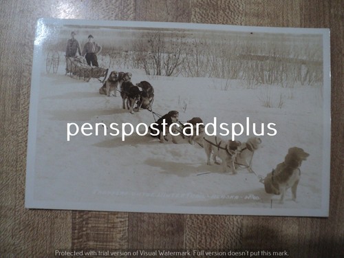 Alaskan TRAPPERS with DOG SLED TEAM early 1900's RPPC Postcard