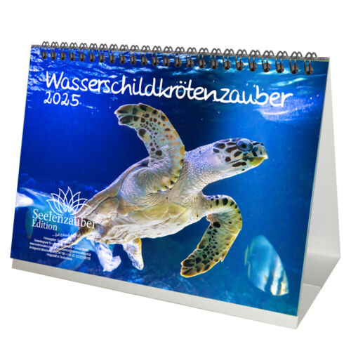 Calendario de mesa para tortugas acuáticas hechizas DIN A5 2025 tortugas acuáticas - alma - Imagen 1 de 1