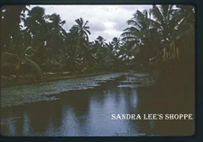 Kodak 35mm Film Slide 1966 Wailua River Tour Kauai Hawaii #435