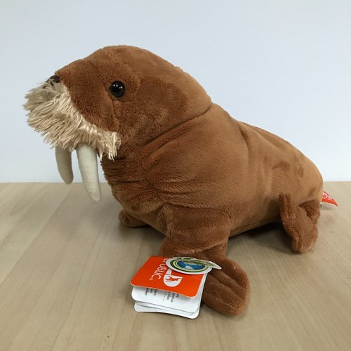 Wild Republic Walrus Soft Toy Plush Brown Medium 26cm Long Cuddlekins Wildlife - Picture 9 of 13
