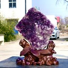 Bild 11 von 17