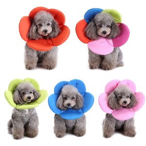 petbarn dog cone