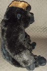 Foto 9 di 12