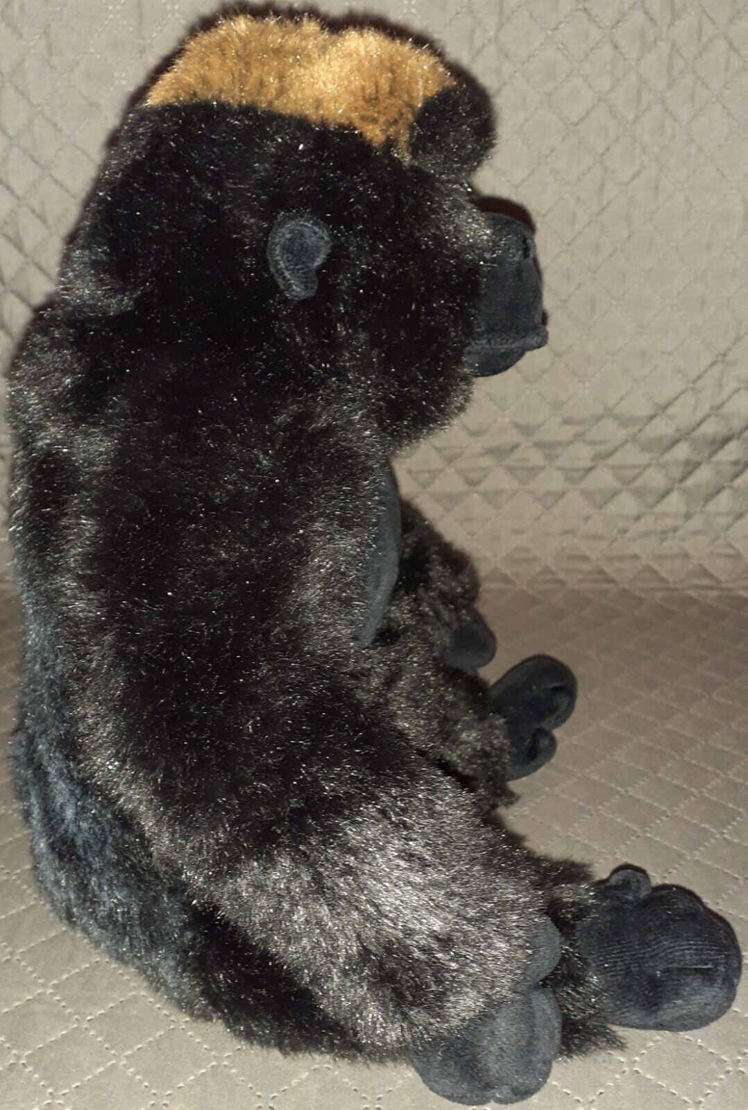 Picture 9 of 12